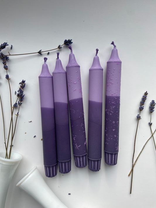 Lavender Fields Box